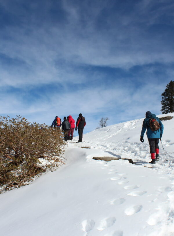 monal top trek